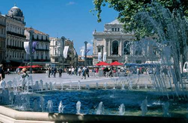 Learn French in Montpellier